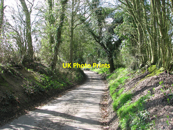 Photo 6"x4" View along Hollow Lane Withersdale Street c2014