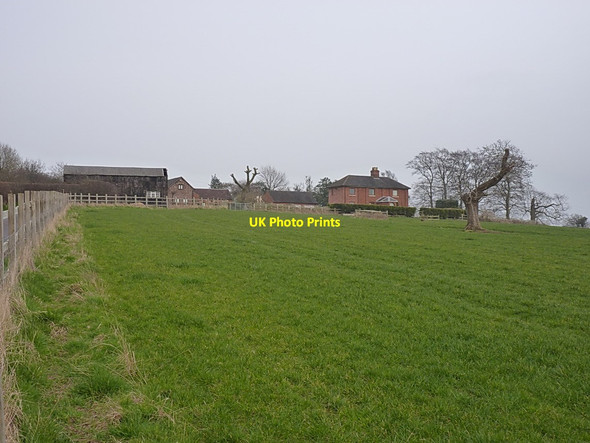 Photo 6"x4" Cherry Hill Farm Newport\/SJ7419 c2014