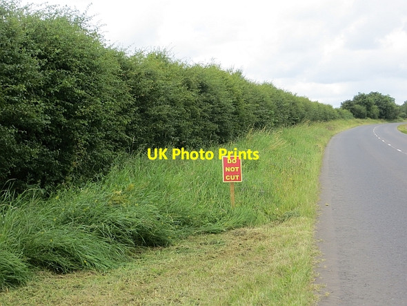 Photo 6"x4" Do not cut Bovedy c2013