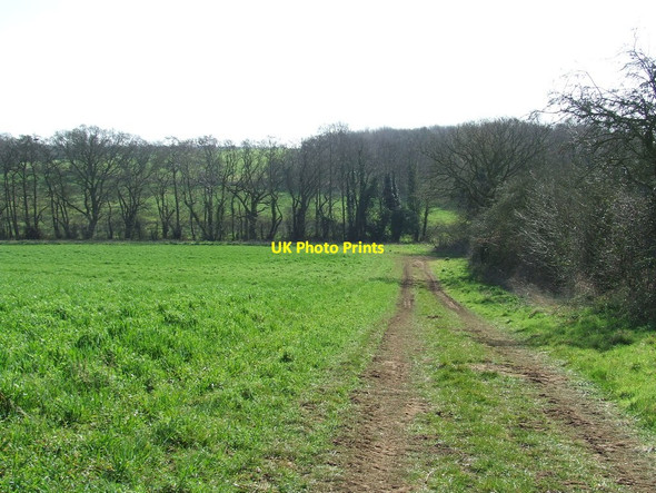 Photo 6"x4" Track And Path Newbourne c2014