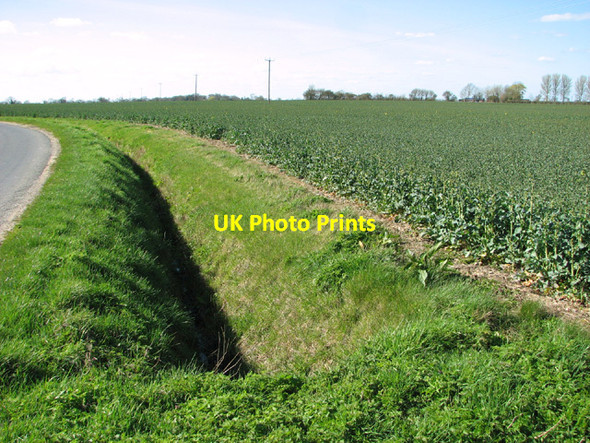 Photo 6"x4" Ditch and oilseed rape beside Metfield Road Metfield c2014