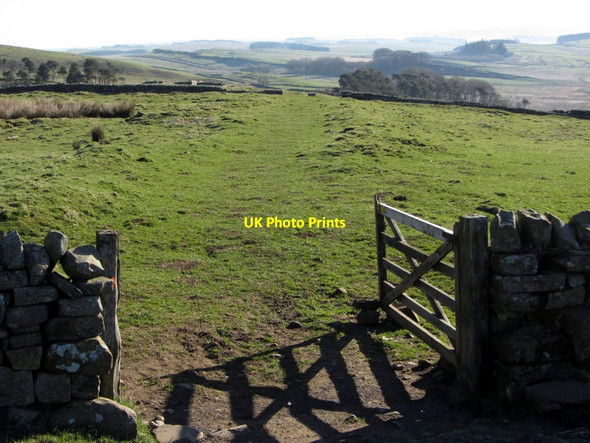 Photo 6"x4" Military Way west of Housesteads Roman Fort Thorngrafton c2014