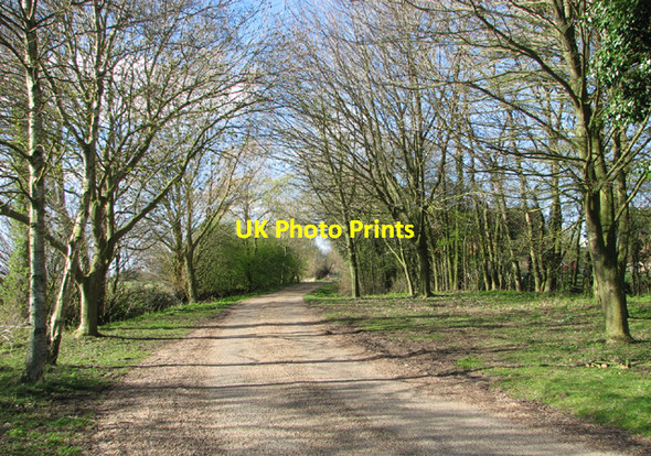 Photo 6"x4" Access road to fishing lakes by Hall Farm St Margaret South Elmham c2014