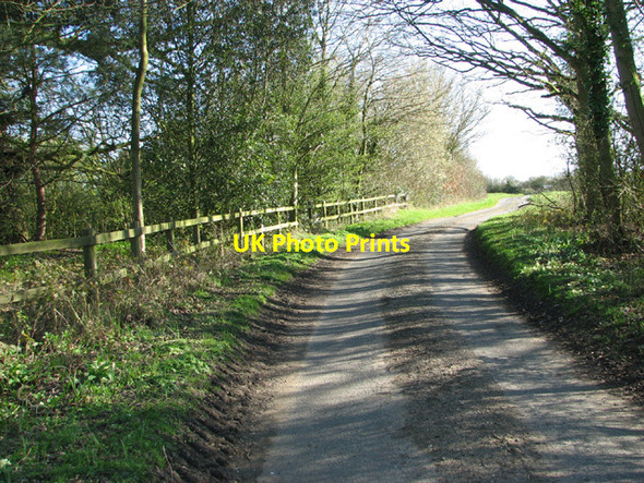 Photo 6"x4" Lane skirting St Margaret's Green St Margaret South Elmham c2014