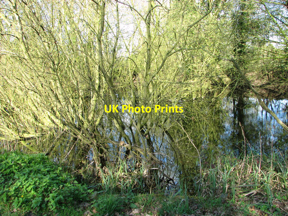 Photo 6"x4" Pond by St Margaret's Green St Margaret South Elmham c2014