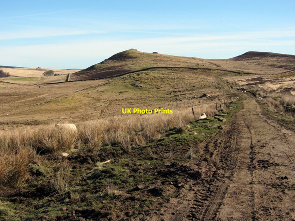 Photo 6"x4" Track east of Cragend Cragend\/NY7870 c2014