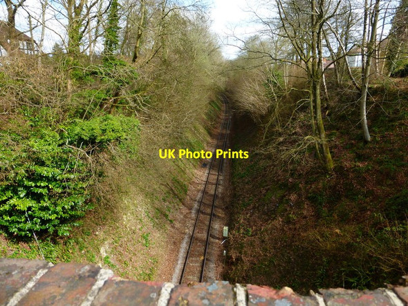 Photo 6"x4" Watercress Line going east from Four Marks Four Marks c2014