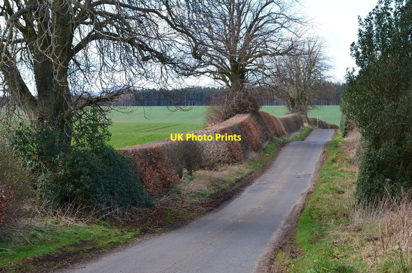 Photo 6"x4" Minor road near Fairnington Ancrum c2014