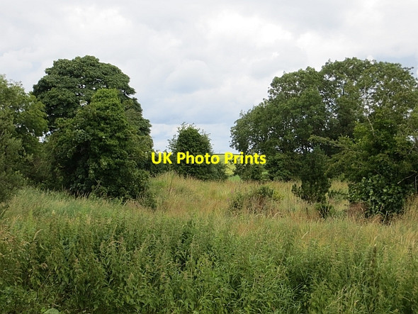 Photo 6"x4" Rough ground Garvagh\/C8415 c2013