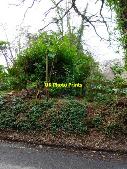 Photo 6"x4" Footpath leaves King's Hill to go to Wivelrod Wivelrod c2014