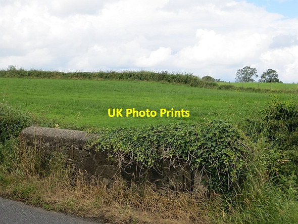 Photo 6"x4" Fields off Churchtown Road Garvagh\/C8415 c2013