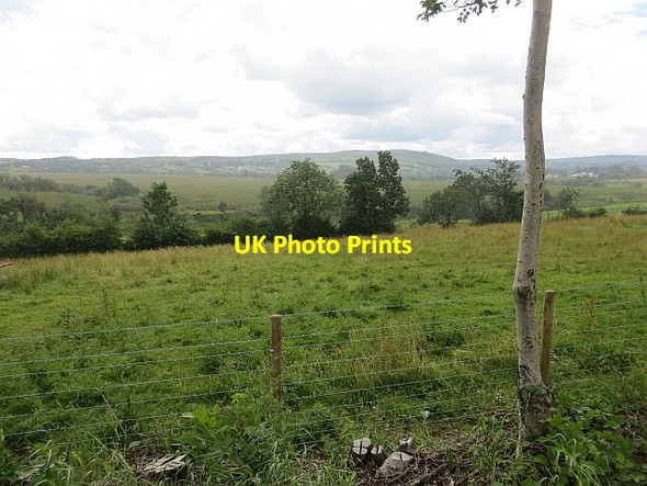 Photo 6"x4" New fence, Temple Road Garvagh\/C8415 c2013