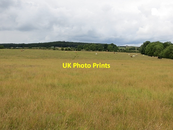 Photo 6"x4" Field off Temple Road Garvagh\/C8415 c2013