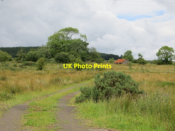 Photo 6"x4" Scrubby ground by Temple Road Garvagh\/C8415 c2013