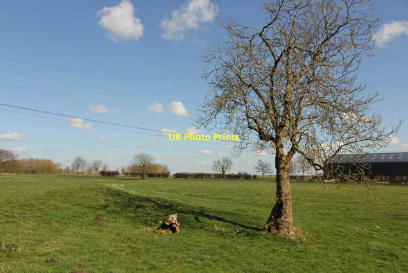 Photo 6"x4" Great Humby Humby c2014
