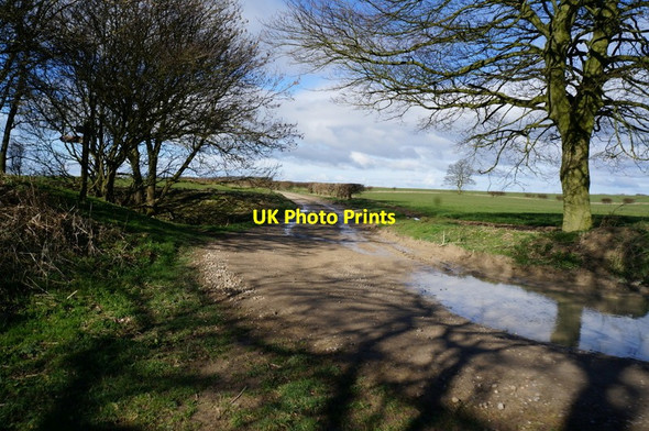 Photo 6"x4" Track leading to Vessey Pasture Dale Thixendale c2014