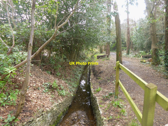 Photo 6"x4" Branksome Park, brook Bournemouth c2014