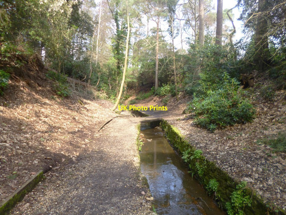 Photo 6"x4" Branksome Chine Gardens, footbridge Bournemouth c2014