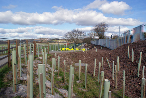 Photo 6"x4" Footpath to Kingsteignton Newton Abbot c2014