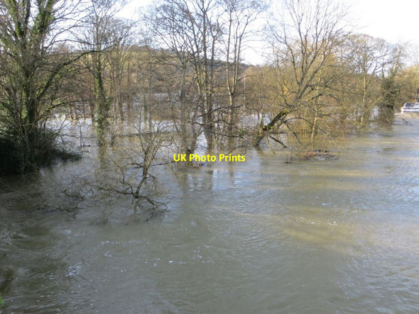Photo 6"x4" The Island Streatley\/SU5980 c2014