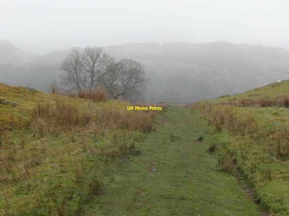 Photo 6"x4" Green track above Carnassarie Castle Carnassarie c2014