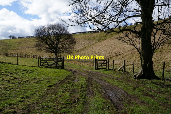 Photo 6"x4" Thixen Dale towards Bradeham Dale Thixendale c2014