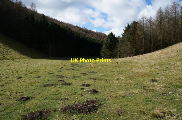 Photo 6"x4" Bradeham Dale towards Wayrham Dale Painsthorpe c2014