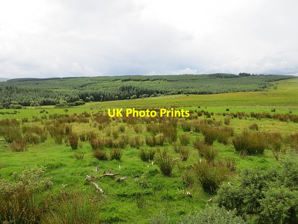 Photo 6"x4" Rough grazing off Legavallon Road Drumsurn c2013