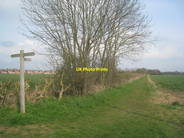Photo 6"x4" Bridleway to Lodge Lane North Greetwell c2014