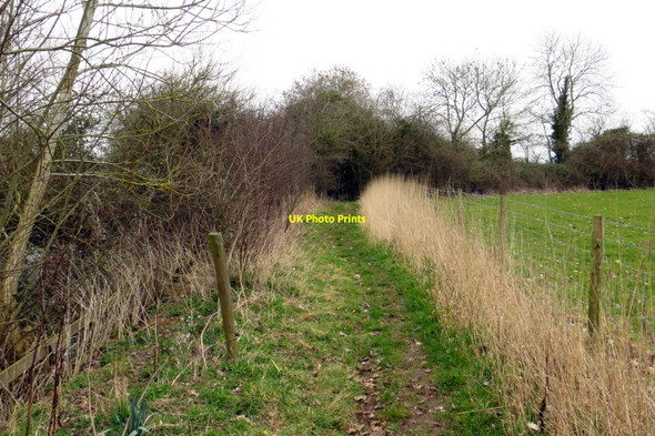 Photo 6"x4" Footpath to the Thames Path Duxford\/SU3699 c2014