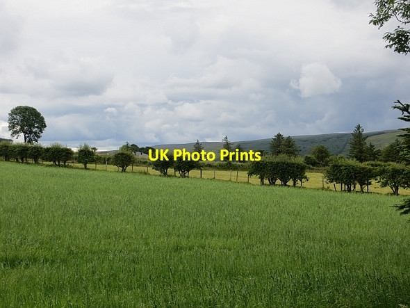 Photo 6"x4" Spotting in the Sperrins Drumsurn c2013