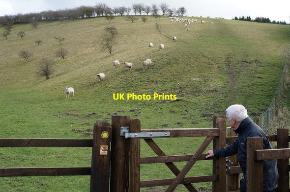 Photo 6"x4" Deep Dale, East Yorkshire Wolds Bishop Wilton c2014
