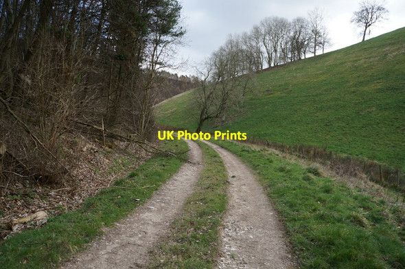 Photo 6"x4" Deep Dale, East Yorkshire Wolds Bishop Wilton c2014