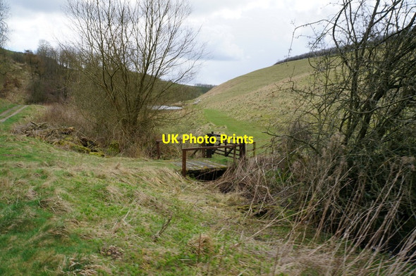 Photo 6"x4" Deep Dale towards Whitekeld Dale Bishop Wilton c2014