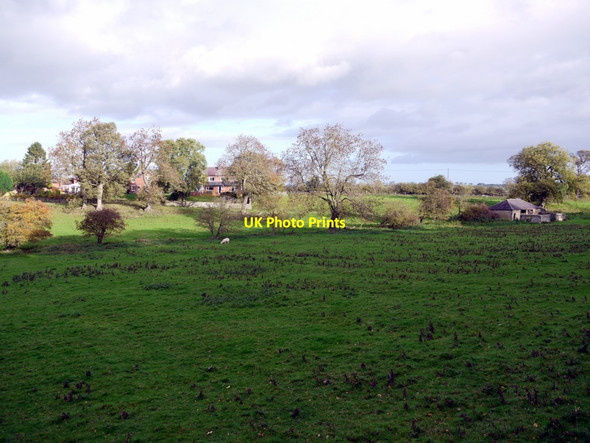 Photo 6"x4" The Glebe Field, Heddon on the Wall Houghton\/NZ1266 c2013