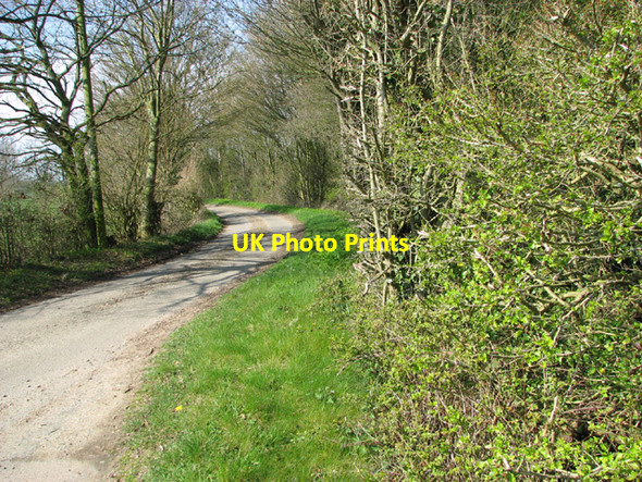 Photo 6"x4" Unnamed lane past Lodge Farm Withersdale Street c2014