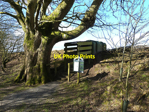 Photo 6"x4" Observation pod on the Avenue, Caerlaverock WWT Reserve Eastpark\/NY0565 c2014
