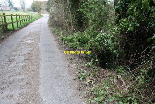 Photo 6"x4" Road to Chazey Court Farm from The Warren Reading c2014