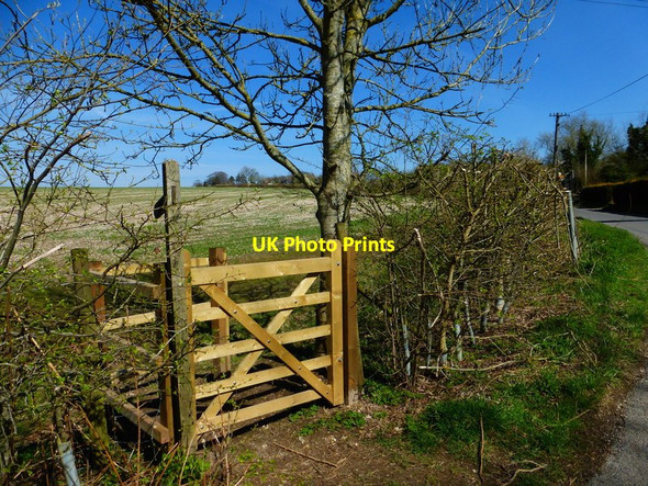 Photo 6"x4" Footpath enters field from Bighton Road Dry Hill\/SU6536 c2014