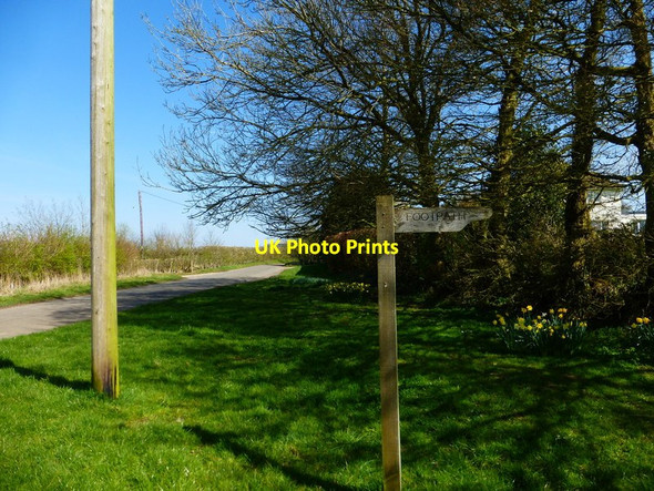 Photo 6"x4" Footpath leaving Hattingley Road Hattingley c2014