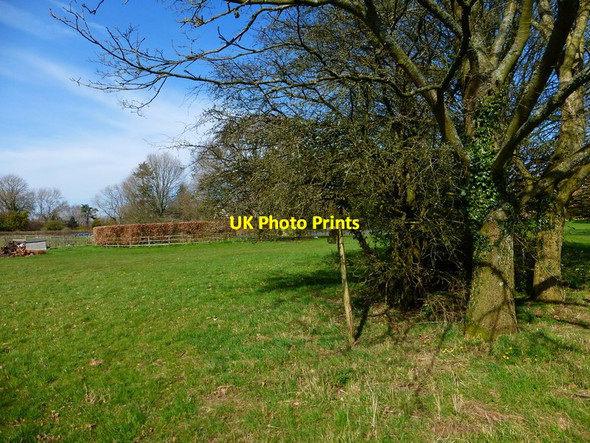 Photo 6"x4" Footpath signpost in Upper Wield Upper Wield c2014