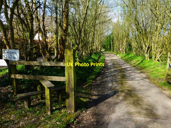 Photo 6"x4" The drive to Caigers Farm Upper Wield c2014