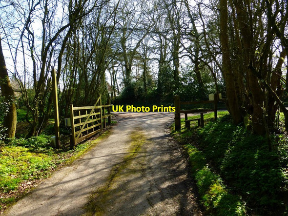 Photo 6"x4" Cagairs Farm drive leads to road in Upper Wield Upper Wield c2014