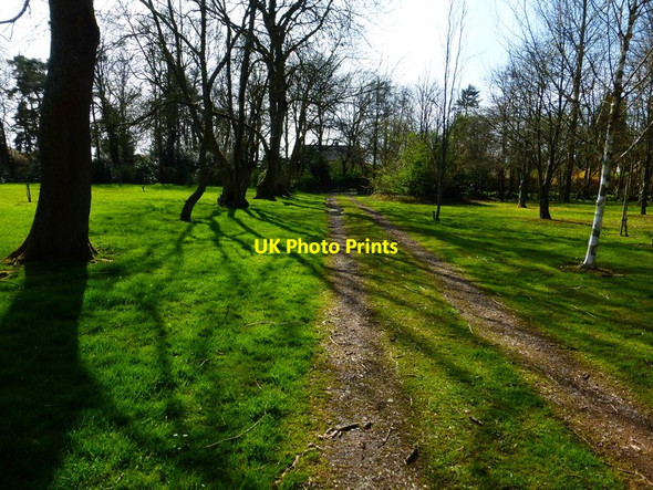 Photo 6"x4" Path through trees heads for the road at Upper Wield Upper Wield c2014