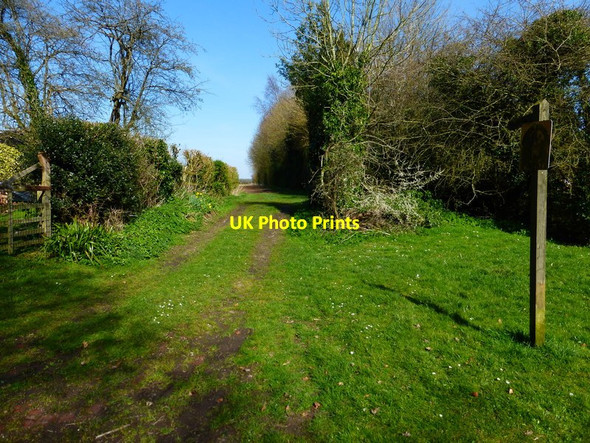 Photo 6"x4" Footpath goes north east from Upper Wield Upper Wield c2014