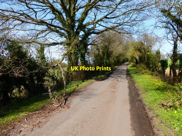 Photo 6"x4" Unnamed lane heading north east from Upper Wield Lower Wield c2014