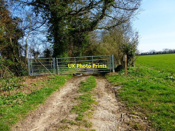 Photo 6"x4" Byway leaves road north east of Upper Wield Lower Wield c2014