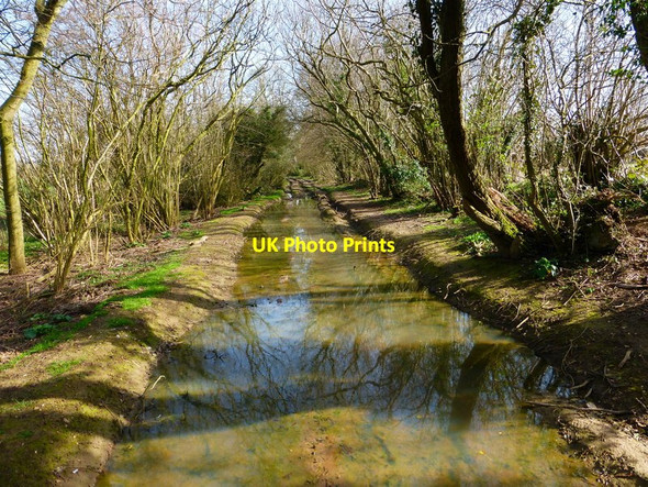 Photo 6"x4" Very waterlogged byway near Upper Wield Lower Wield c2014