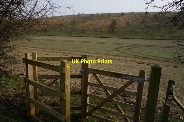 Photo 6"x4" Heading towards West Field near Wetwang Wetwang c2014