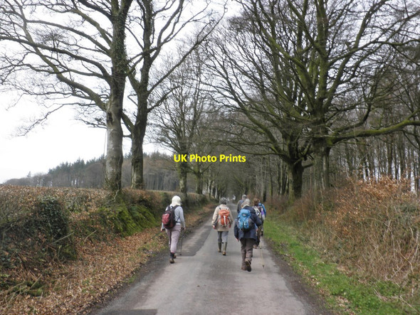 Photo 6"x4" Walkers on Heydon Hill Chipstable c2014